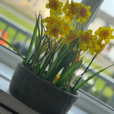 Tatil Evi Cosy Seaside