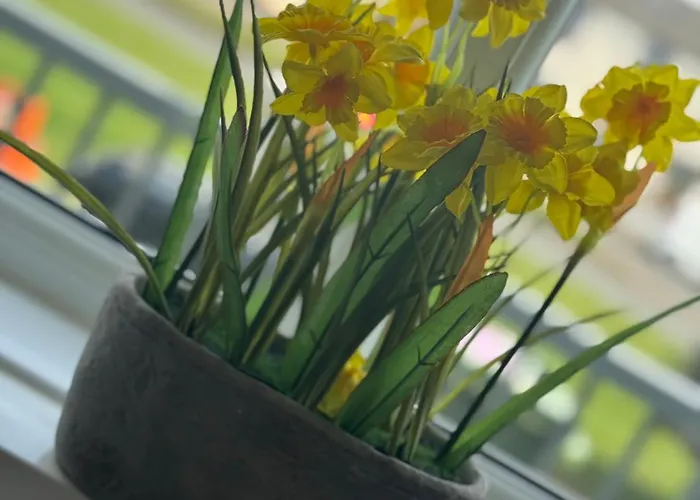 Holiday home Cosy Seaside