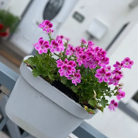 Cosy Seaside Allonby